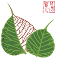 Fujian  Huamo  Tehnoloogia  Co.,  Ltd.